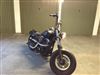 Harley Special