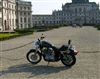Harley Davidson XL883 Sportster