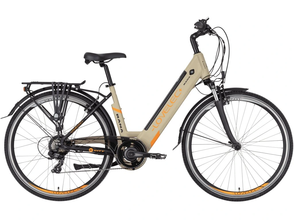 Bici elettrica da città