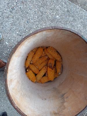 Mais per galline e polli, prezzo trattabile - Foto 2
