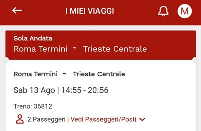 4 Biglietti Italo: Roma - Trieste e ritorno