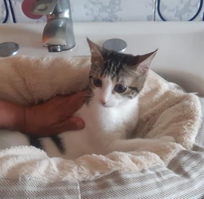 2 adorabili fratellini