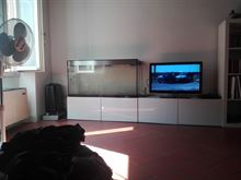 Acquario 1,2 x 0,6 x 0,37mt