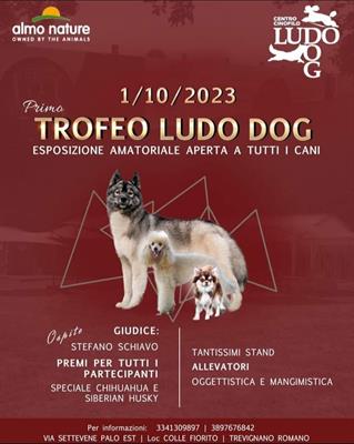 Esposizione cinofila amatoriale