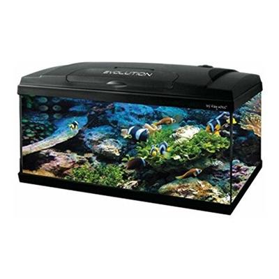 Acquario 80 LT Nuovo con accessori e tavolo
