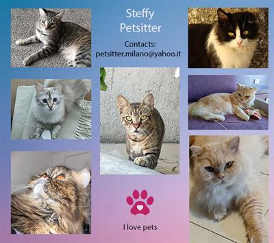 Cat sitter