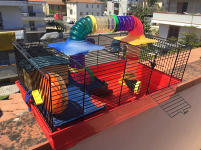 Gabbia per Criceti o Piccoli Roditori - Foto 2