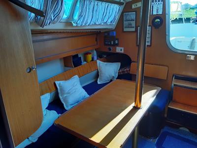 Natatnte a vela Comet 910, prezzo trattabile - Foto 4