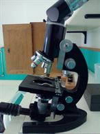 1952 Microscopio Bioculare a Contrasto di Fase