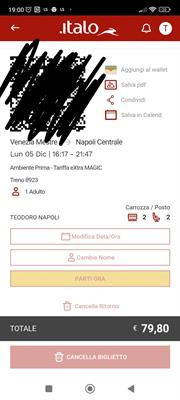 Biglietto Italo prima Venezia Mestre Napoli Centrale