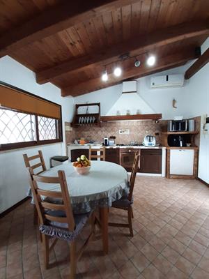 Cucina in legno 100%