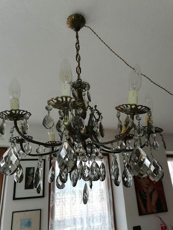 Giraffa in scala 1:1 con lampadario Giraffa in scala 1:1 con lampadario
