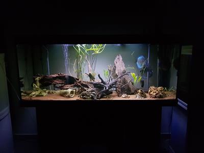 Acquario con mobile originale