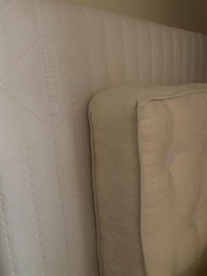 X sgombero in stock