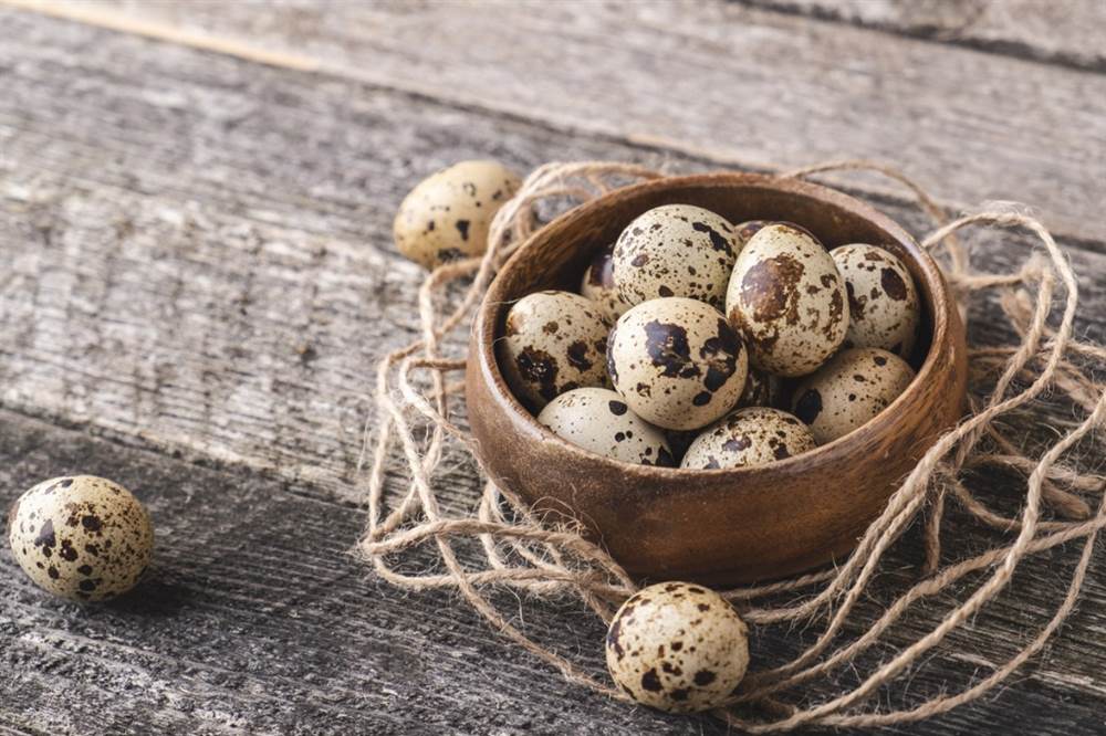 10+2 Uova Fertili Di Razze Pure: Cemani, Amrock E Oliver - Per Incubazione
