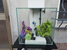 Acquario Fluvial edge 46 lt