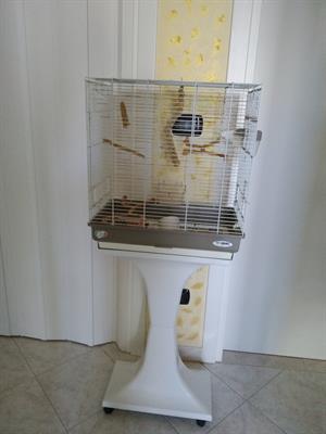 Pappagalli con gabbia - Foto 2