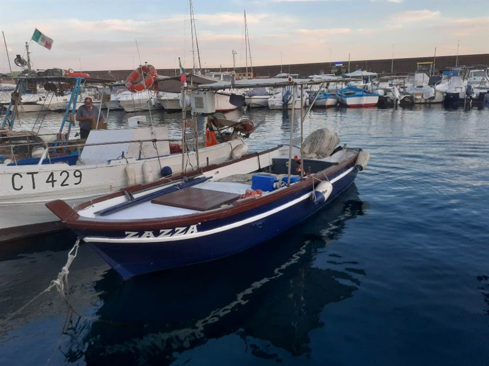 Lancia Da Pesca Telescopica 60cm In Acciaio Inox E Alluminio - Gaff Nuovo