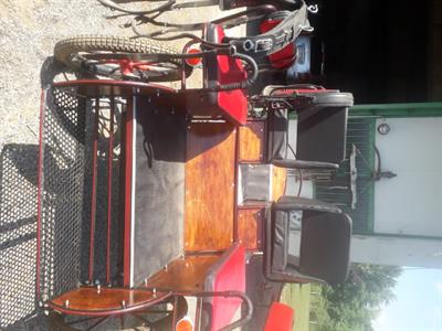 Carrozza n. 6 posti come nuova