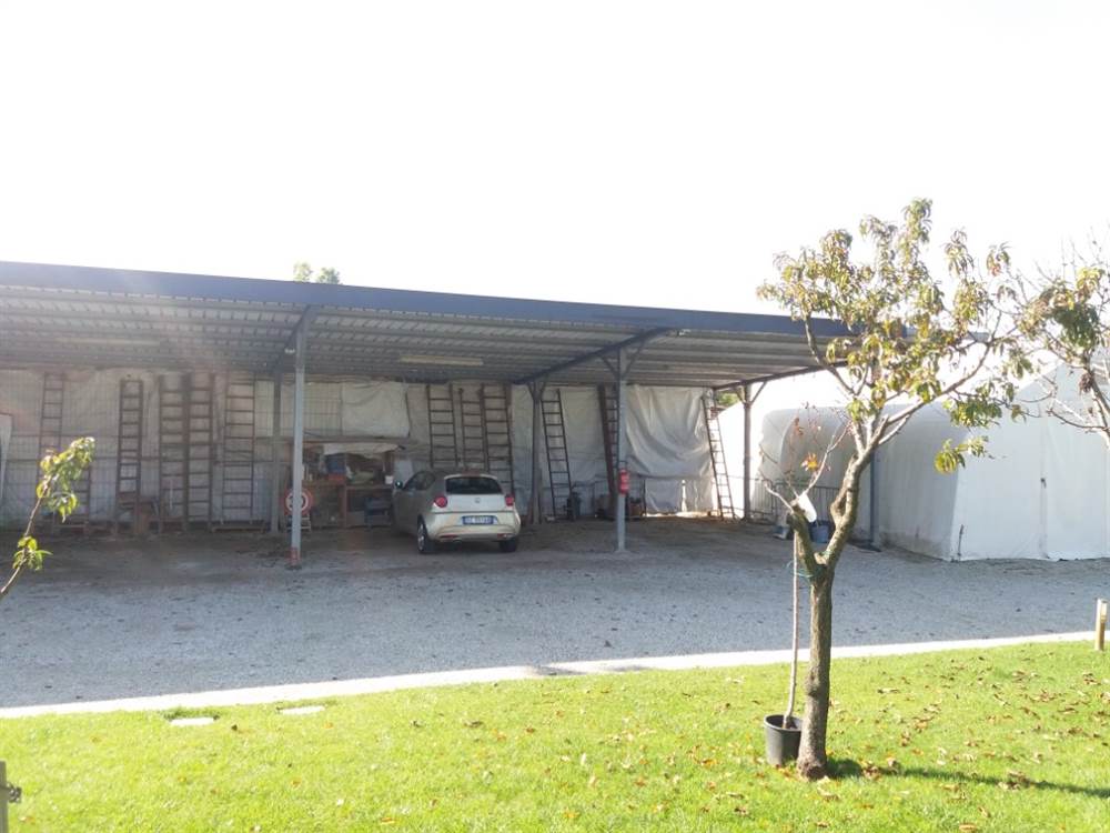 Tettoia Sosta Auto, Camion, Materiale, prezzo trattabile - Foto 4
