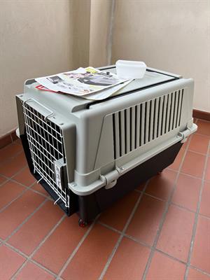 Trasportino cane