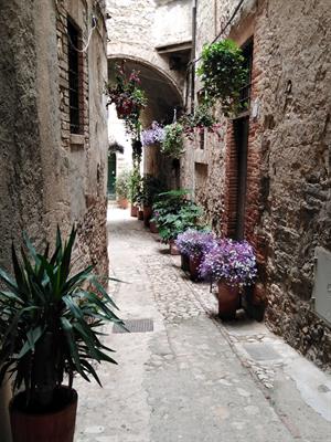 Meraviglioso Tavolo in Castagno