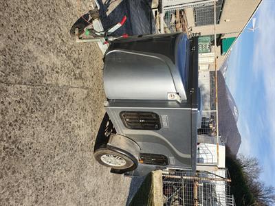 Minivan trasporto cani