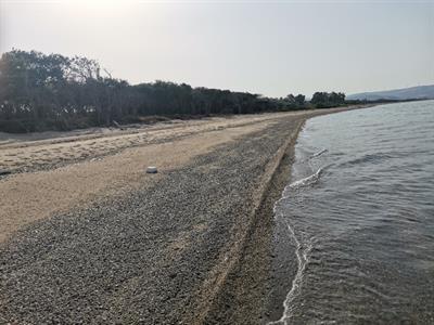 A pochi passi dal mare a Strongoli dal 16 al 31 agosto - Foto 4