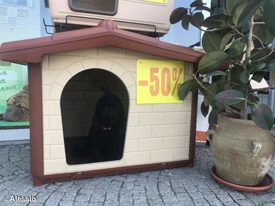 Cucce da esterno coibentata taglia grande