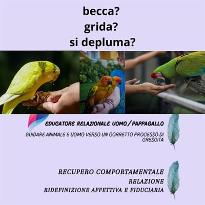 Educatore relazionale / trainer-addestratore