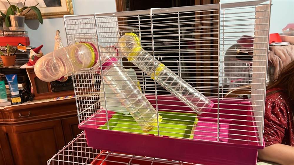 Divisorio Per Gabbia Criceti - 2 Pezzi In Filo Di Ferro, 28x27 Cm, Per Gabbie 47x30x30 Cm - Foto 14