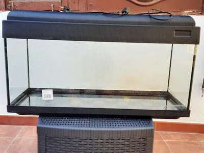 Acquario Fortesan 80x30cm