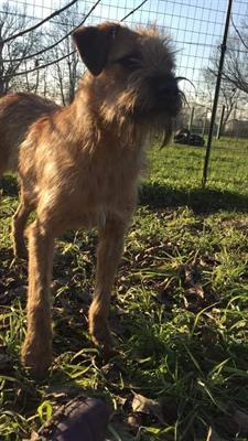 Aria in cerca di libertà - Foto 5