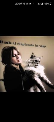 Petsitter