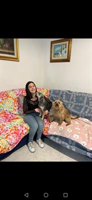 Affettuosa Dog sitter cerca lavoro a Milano
