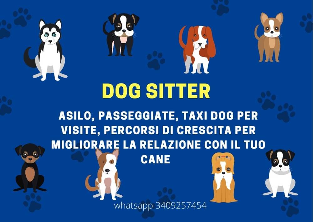Dog sitter
