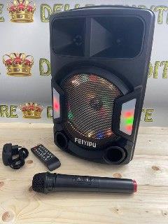 Cassa amplificata 2000W