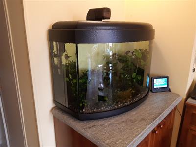 Acquario 87 x 45 x 54 usato