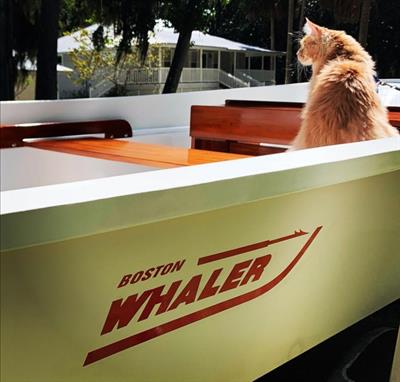 Boston Whaler 17 super sport