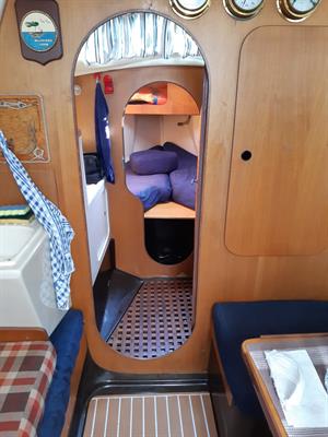 Natatnte a vela Comet 910, prezzo trattabile - Foto 2