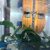 Acquario quasi nuovo completo di tutto