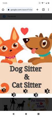 Dog&cat sitter