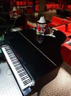 Pianoforte, marca PETROF - Anteprima 1