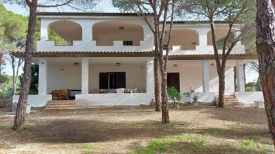 Sardegna Appartamenti a 100 MT Dalla Spiaggia - Anteprima 1