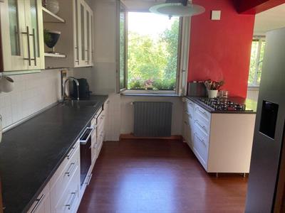 Cucina con isola