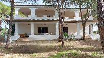 Foto - 12
