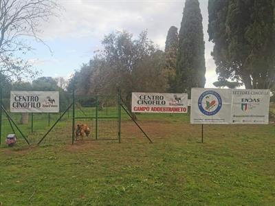 Addestratore cinofilo ENDAS - Susy Galli - Foto 6