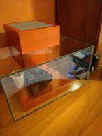 Acquario Fluval Edge