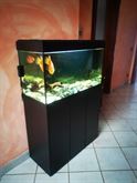 Acquario completo