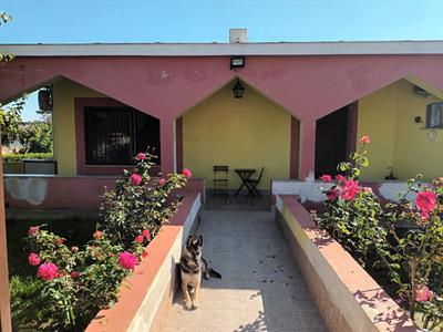 Villa con 1000 di giardino